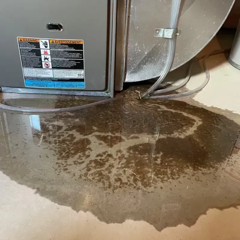 Appliance Leak Cleanup in New Athens, IL